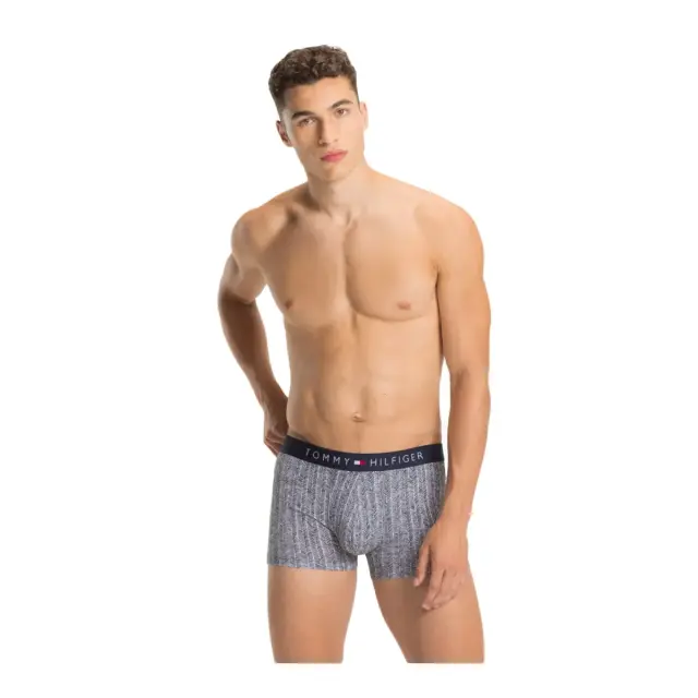 Tommy Hilfiger Ανδρικό Boxer Holiday Trunk, Χρώμα Γκρι Σχέδιο - S