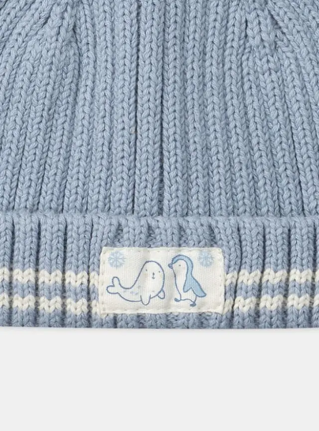 Βρεφικός Σκούφος για Αγόρια Baby Blue Friends ΜΠΛΕ 3