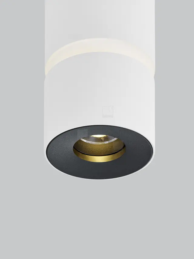 ROK Ceiling Luminaire Λευκό Ματ LED 10W Ρυθμιζόμενη Δέσμη 20°–60° Άσπρο 3