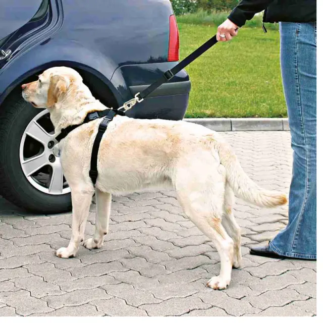 Trixie Car Harness Ζώνη Ασφάλειας Αυτοκινήτου Σκύλου Medium Μαύρη 50-70cm/25mm 2