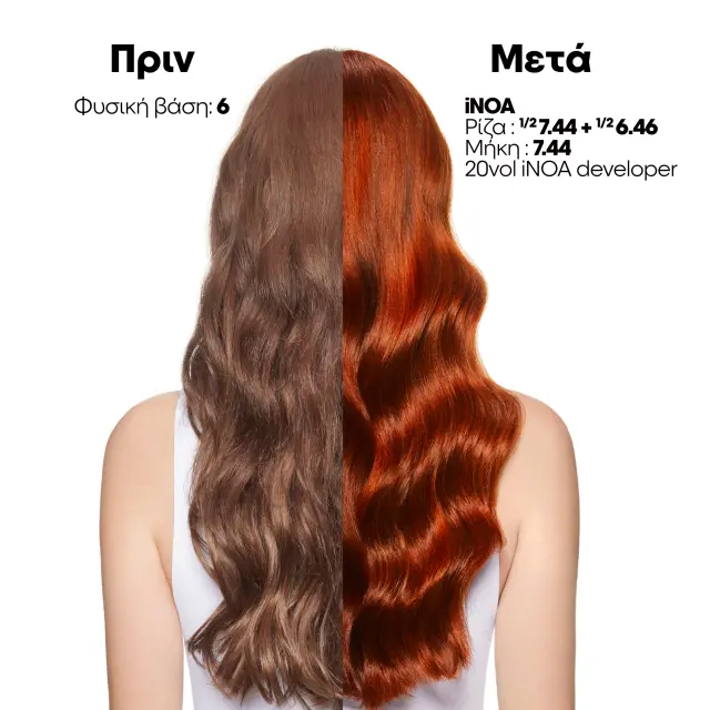 L’Oreal Professionnel Inoa 10.31 Κατάξανθο Ντορέ Σαντρέ 60g 3