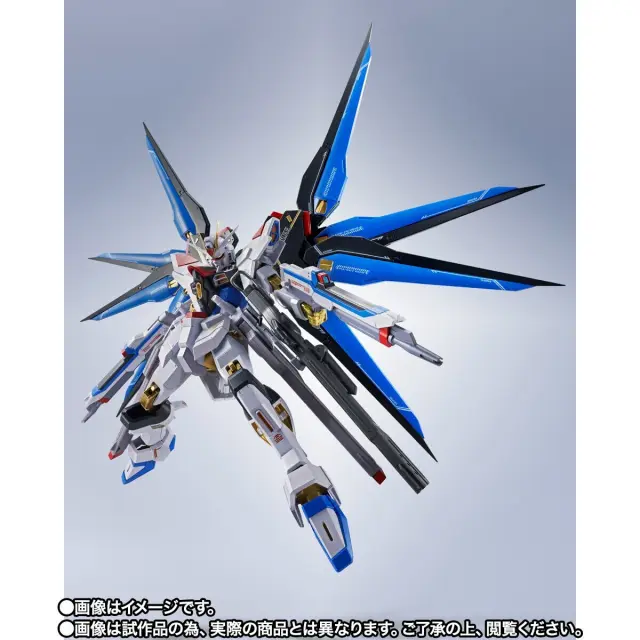 METAL ROBOT SIDE MS STRIKE FREEDOM GUNDAM TYPE II 3