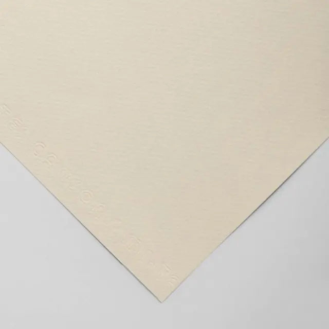 Χαρτόνι Canson Mi-Teintes 160g/m² 65x50cm - 110 Lily