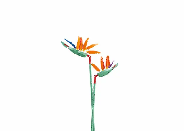 Sluban Τουβλάκια Strelitzia Reginae Aiton - Λουλούδι του Γερανού (10+ ετών) M38-B1101-01 3