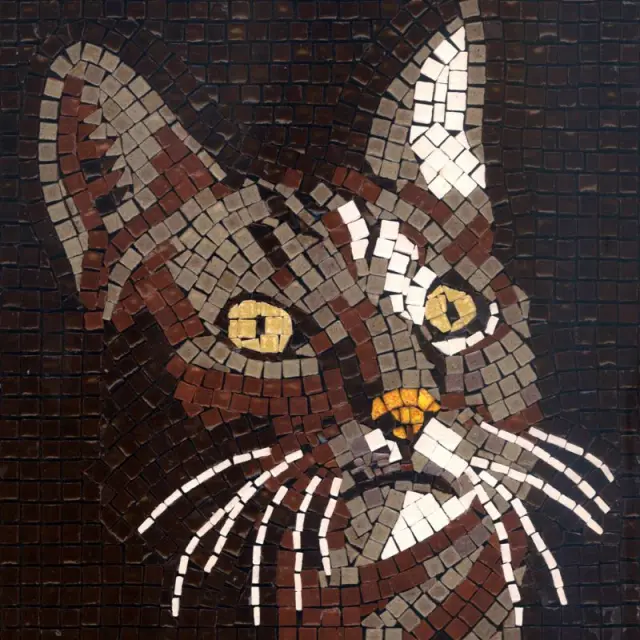Σετ Με Μίνι Κεραμικές Ψηφίδες 20x20cm, Cat
