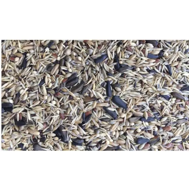 Elevage Goldfinch Standard 5kg 2