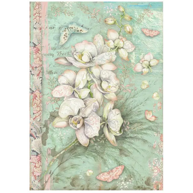 Ριζόχαρτο ντεκουπάζ Stamperia 21x29cm A4, Orchids and Cats, White orchidea