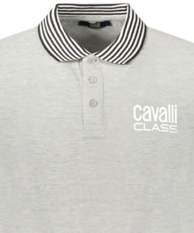 Cavalli Class - Ανδρική Μπλούζα T-Shirt Polo Short Sleeve TXT64EKB002-05001 Γκρι 3