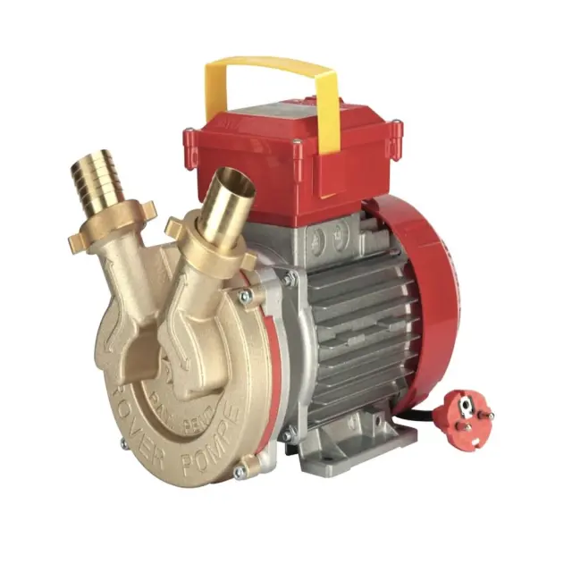 Rover Pompe 40 CE Αντλία μετάγγισης με ιπποδύναμη 1.0HP μπρούτζινη / 101357