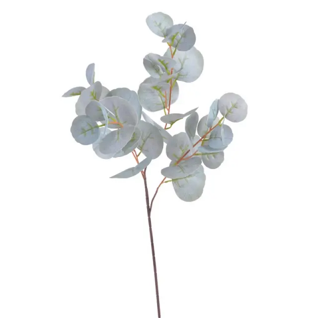 Ευκάλυπτος κλαδί, γαλάζιο, 80cm