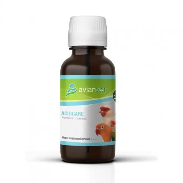 Avianvet Acidcare Συμπλήρωμα Διατροφής Υγρό με Οργανικά Οξέα και Αιθέρια Έλαια για Πέψη, Ανοσοποιητικό & Προστασία Εντέρου Πτηνών 100ml