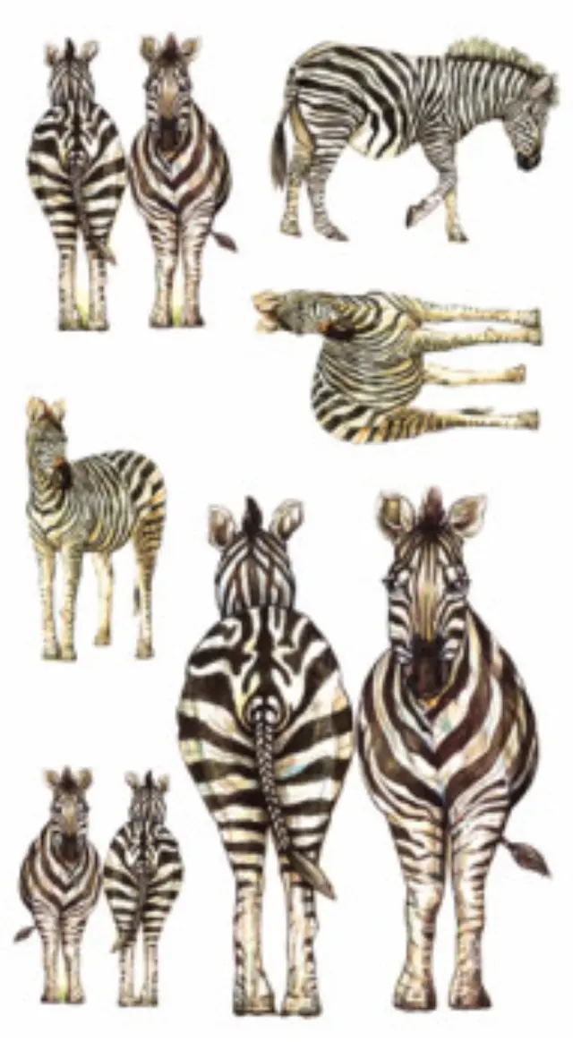 Αυτοκόλλητα για γυαλί & πορσελάνη Zebras 11x20cm