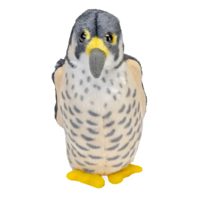 Wild Republic Λούτρινο Πουλάκι με Φυσικό Ήχο / Bird with Real Bird Call (7 σχέδια) Peregrine Falcon 2