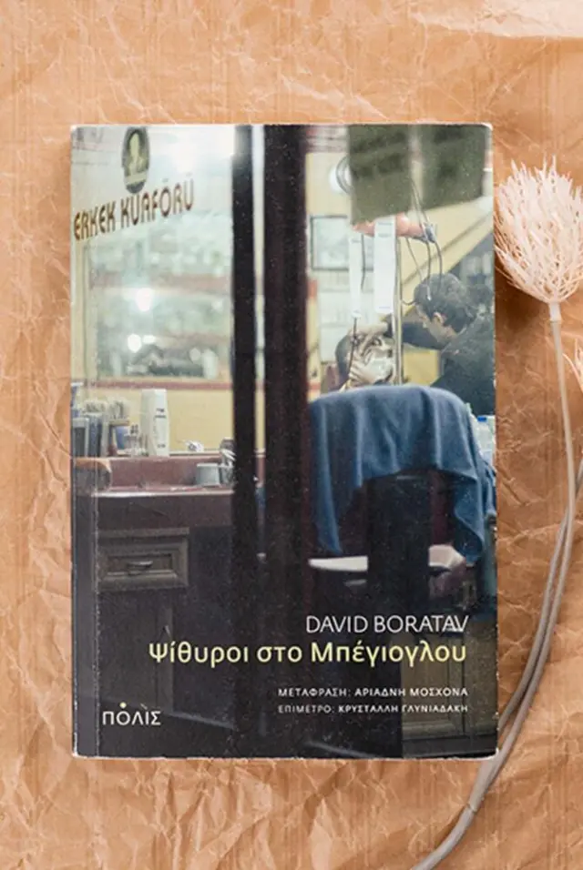 ΨΙΘΥΡΟΙ ΣΤΟ ΜΠΕΓΙΟΓΛΟΥ