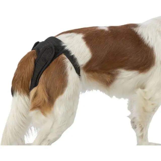 Trixie Προστατευτικό Βρακάκι με Πλέγμα Small Μαύρο 30-37cm 2