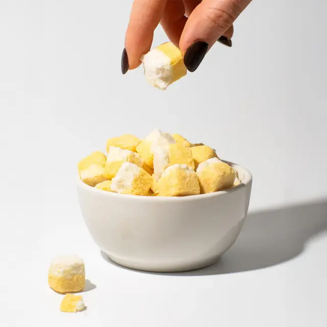 Vilgain Freeze-dried Coconut Cubes Mango Sticky Rice 3