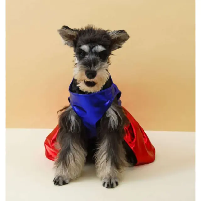 Αποκριάτικη στολή Σκύλου Γάτας Super Dog  - Λαιμός: 35cm / Στήθος: 43cm 3