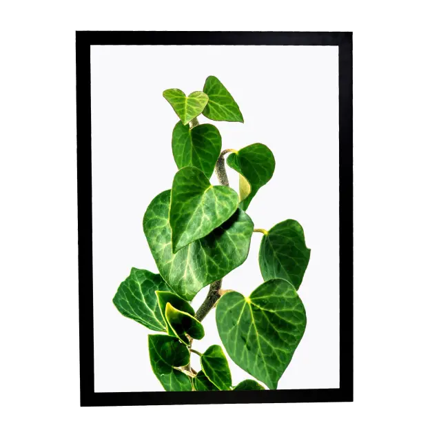 Θέμα (leaves 30) 3 Κάδρα 50X70 με κορνίζα ξύλινη μαύρη, τζαμί άθραυστο ακρυλικό, συνολικό έργο 160cm x70cm. 3