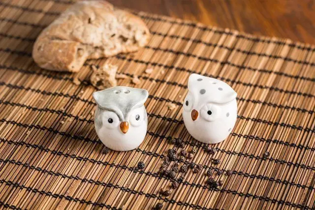 Salt & Pepper Shakers OWLS 2