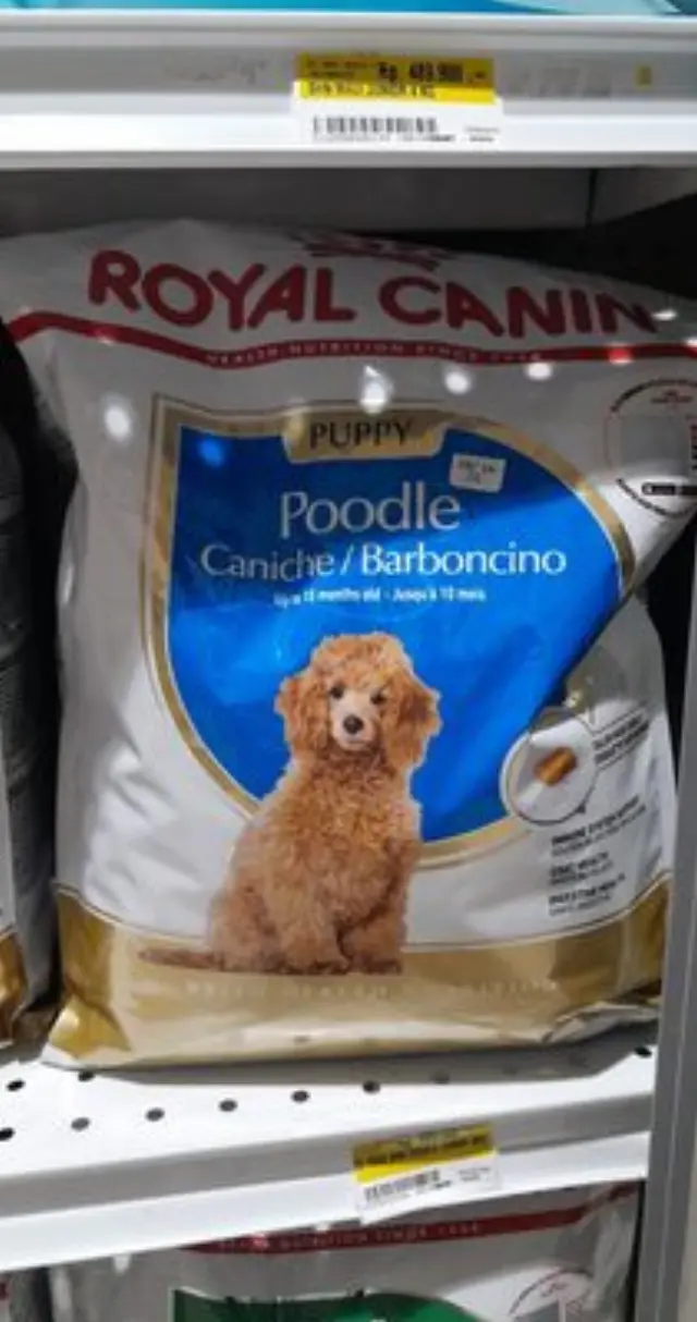Royal Canin Poodle Junior 3kg