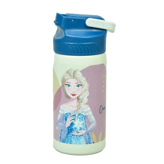 Παγούρι ανοξείδωτο με καλαμάκι Disney Frozen 500ml