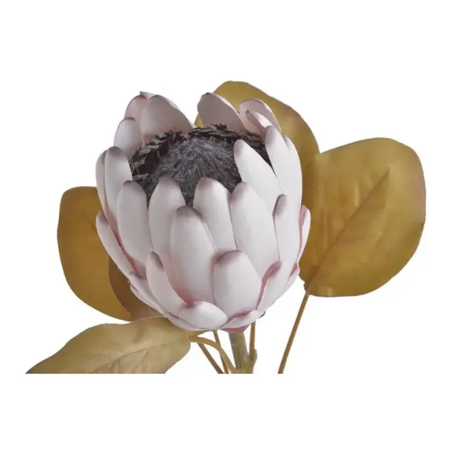 Πρωτέα λουλούδι ανοιχτό, ροζ 66cm, 2