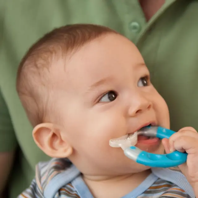 MAM Bite & Brush Πολυκρίκος Οδοντοφυΐας 3+ μηνών Τιρκουάζ 1 τμχ 2