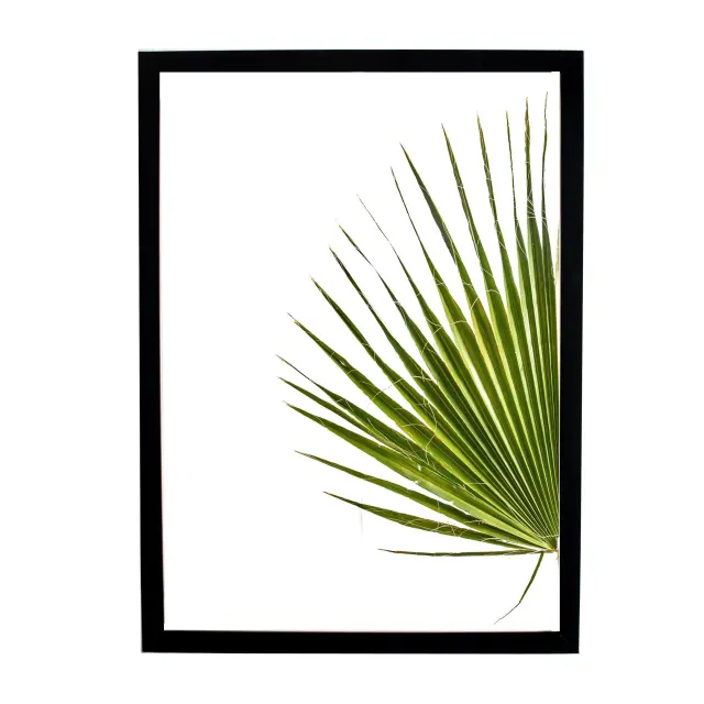 Θέμα (leaves 20) 2 Κάδρα 50X70 με κορνίζα ξύλινη μαύρη, τζαμί άθραυστο ακρυλικό, συνολικό έργο 105cm x70cm. 2
