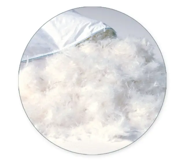 Μαξιλάρι Πουπουλένιο (50x70) White Duck Down Pillows Collection Nef-Nef Homeware 2