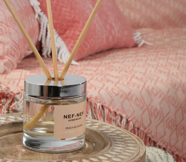 ΑΡΩΜΑΤΙΚΟ ΧΩΡΟΥ ΣΤΙΚΣ PEACH BLOSSOM 160ml - NEF NEF 3