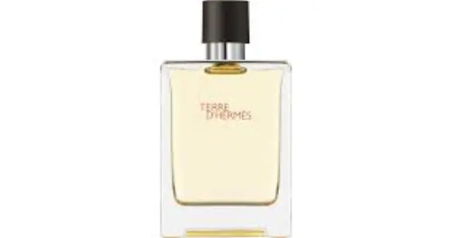 Hermes Terre D'hermes 100 ml Eau De Toilette 2