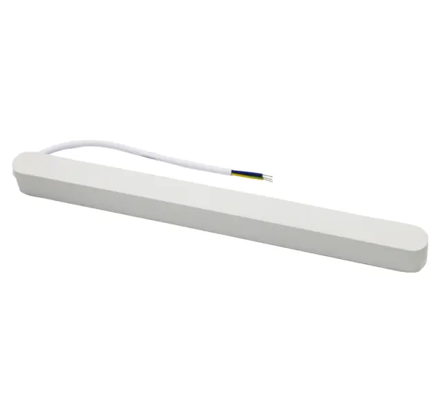 ΤΡΟΦΟΔΟΤΙΚΟ ΜΙΝΙ ΦΩΤΙΣΤΙΚΟΥ ΡΑΓΑΣ 200W 230VAC/40VDC ΛΕΥΚΟ