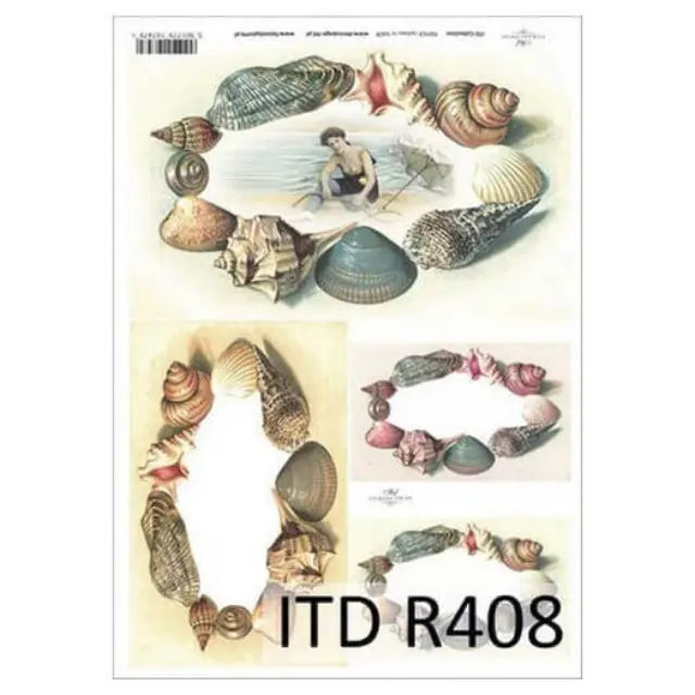 Ριζόχαρτο ITD, 21x29cm, Κοχύλια, R408