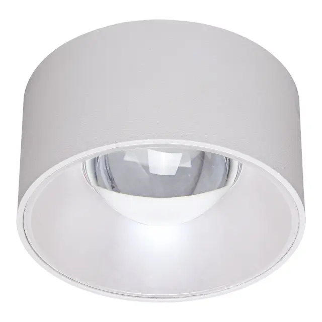 Fozy 04451/W/W/120 Φωτιστικό Led οροφής 29W αδιάβροχο λευκό Άσπρο