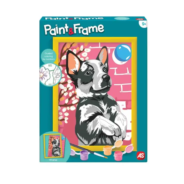 AS Paint + Frame: Playful Husky (1038-41013)