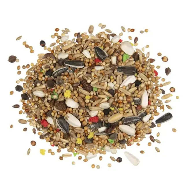 Witte Molen Country Large Parakeet - Τροφή Cockatiel Cocatoo 550g 2