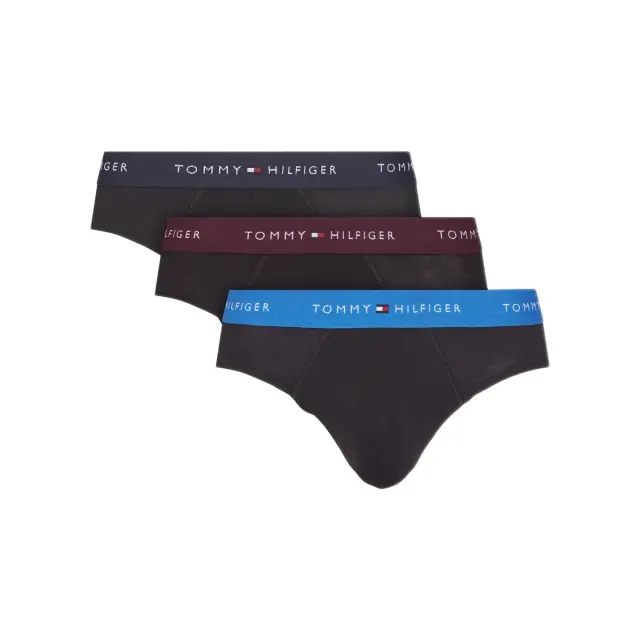 Tommy Hilfiger Ανδρικό Slip Signature Logo Waistband Briefs - Τριπλό Πακέτο, Χρώμα Dp Brg-Blu Com-Des Sky - S