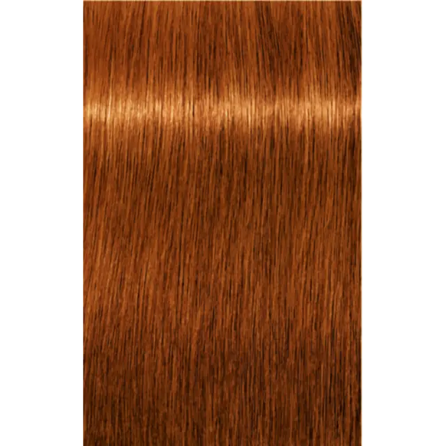 Schwarzkopf Professional Igora Royal Absolutes 7-70 Ξανθό Μεσαίο Χάλκινο Φυσικό 60ml