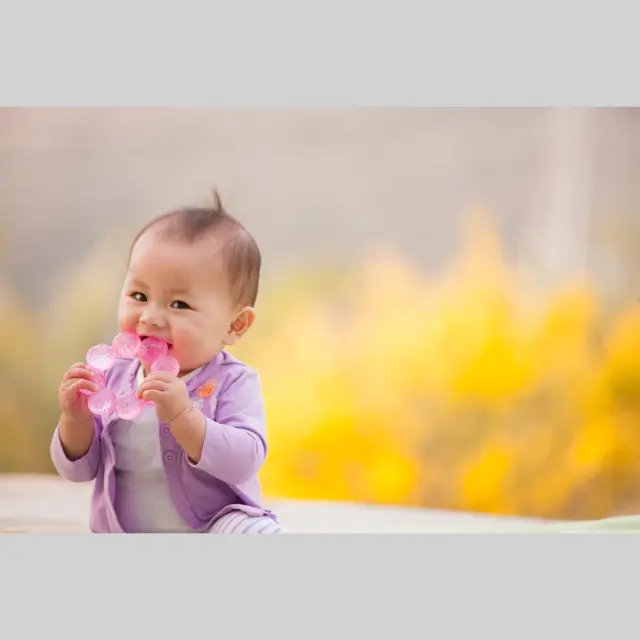 INFANTINO WATER TEETHER - GRAPEFRUIT 3