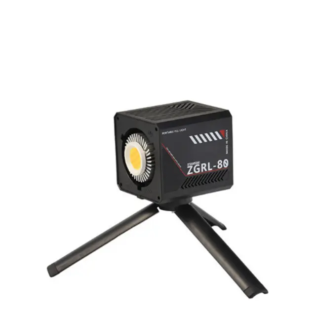 LED Light 80W ZGRL-80 2