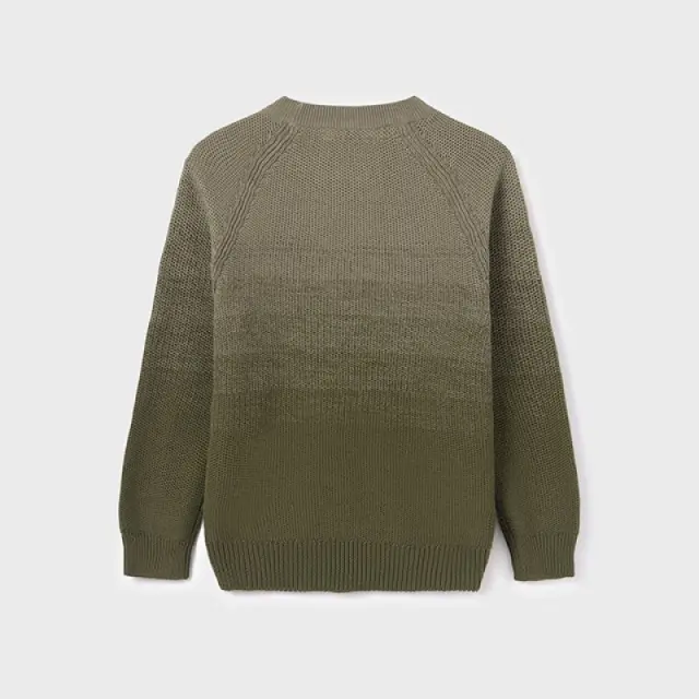 Junior 10 έως 18 ετών Ζέρσεϋ Better Cotton άνηθος - 18Ε 3
