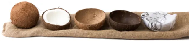 Μπολ Καρύδας - Mixing Coconut Bowl 90-110mm 2