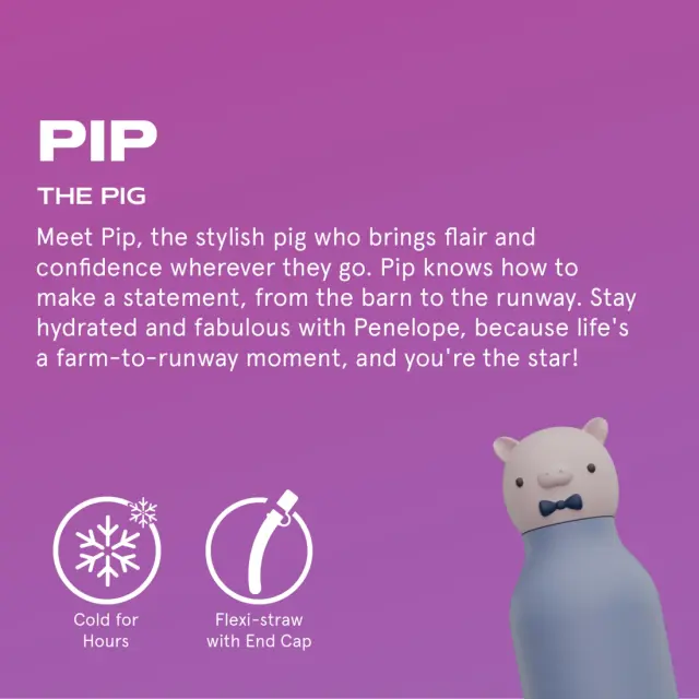 ASOBU Παγούρι Ανοξείδωτο Bestie - Piggy 460 ml 3