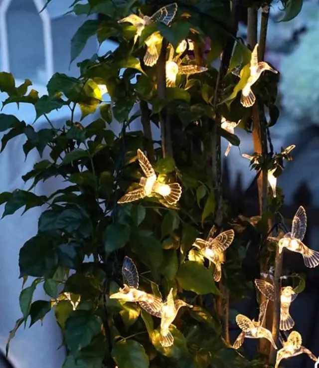 Ηλιακή γιρλάντα φωτισμού LED - String Bird - 5m+1m - 20D - 152875 - Warm White 3