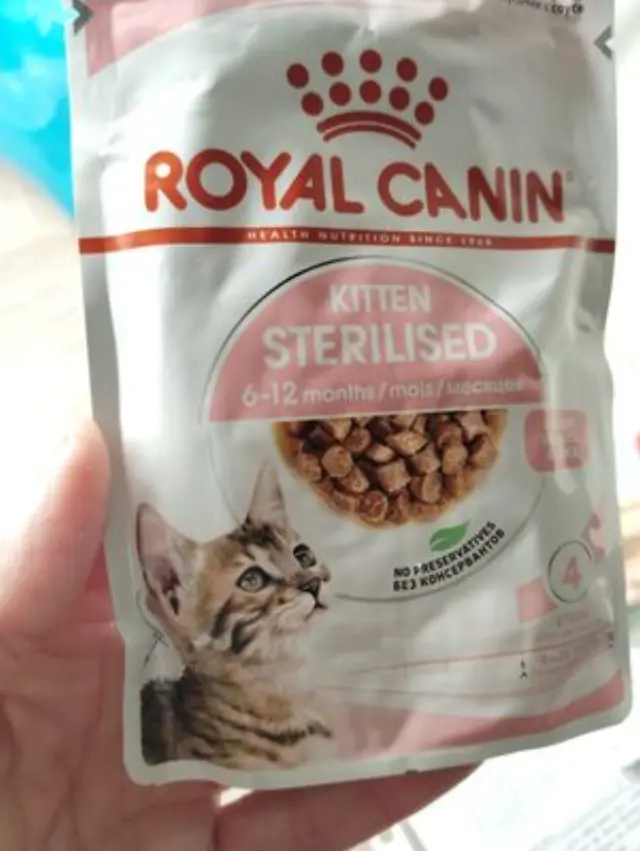 Royal Canin Υγρή Τροφή για Στειρωμένη Ανήλικη Γάτα σε Φακελάκι Διαίτης 85gr