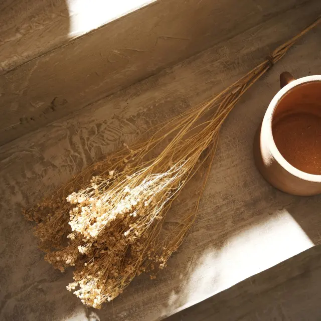Αποξηραμένα Άνθη Gofis Home Broom 118 Ύψος : 40, 20γρ.