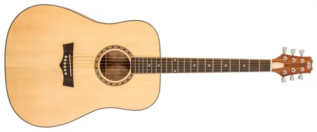 PEAVEY DELTA WOODS DW-1 ΑΚΟΥΣΤΙΚΗ ΚΙΘΑΡΑ ΜΕ ΘΗΚΗ