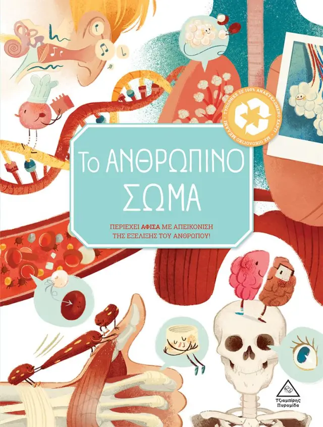 Το Ανθρώπινο σώμα (Τζιαμπίρης - Πυραμίδα)