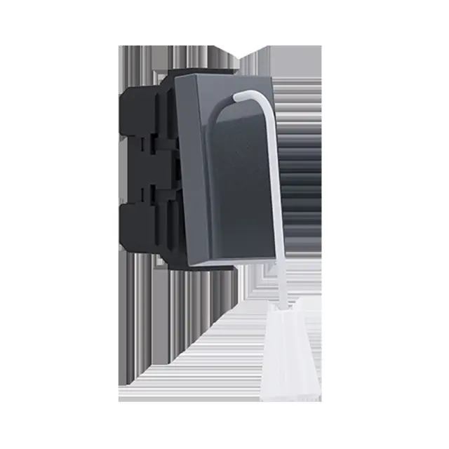 MODYS ΜΠΟΥΤΟΝ ΤΡΑΒΗΧΤΟ ΑΝΘΡΑΚΙ 1P 10A 250VAC IP20 / 10101312519