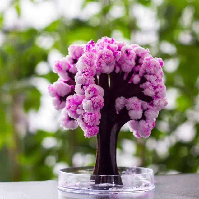 Mad Monkey - Magic Sakura - 13.5 cm - pink - Home and Kitchen